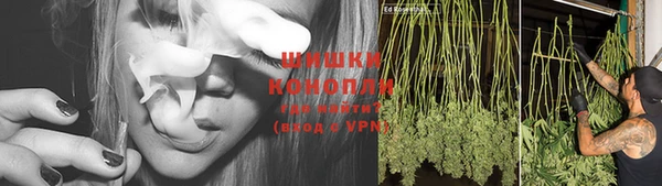 каннабис Белокуриха