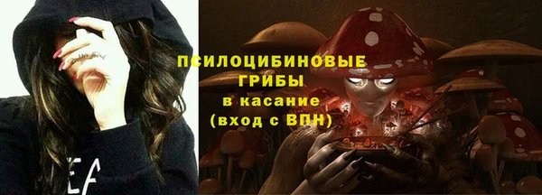 каннабис Белокуриха